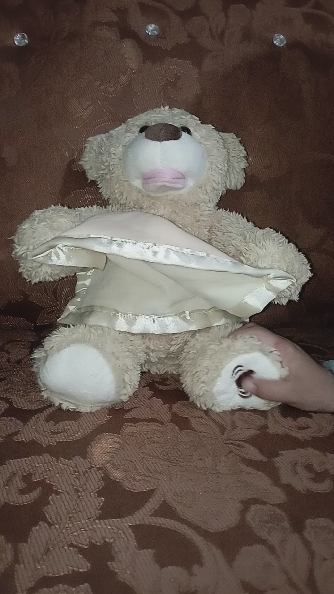 Peek-A-Boo Teddy Bear Musical Toy